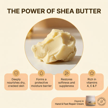 Hand and Foot Repair Cream